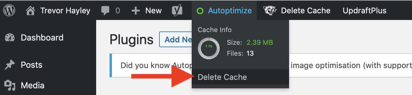 Clear Cache Autoptimize