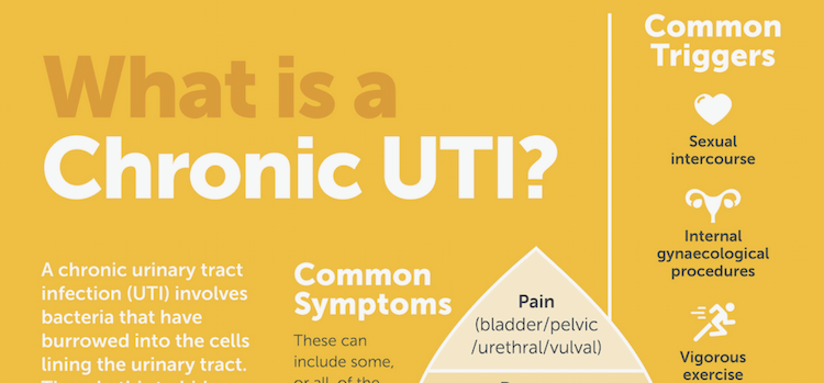 Chronic UTI what is it 750px History Timeline